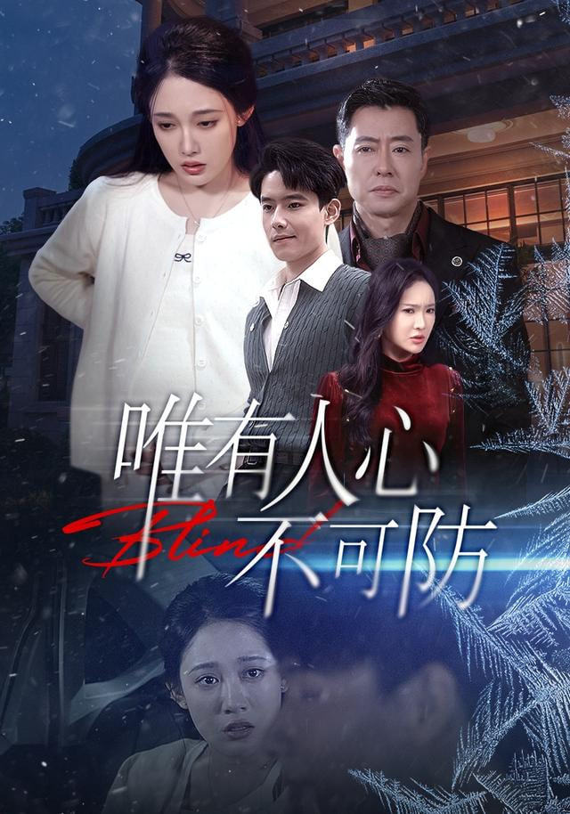 分手的决心